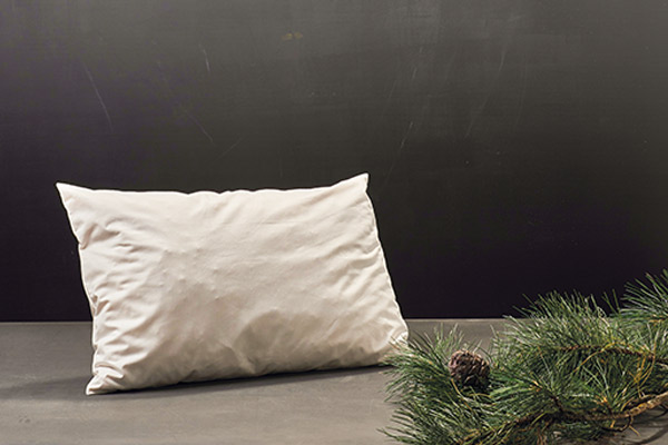 KOPF- UND STÜTZKISSEN (30x40cm)