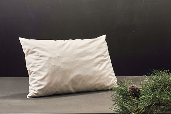 KOPF- UND STÜTZKISSEN (40x60cm)